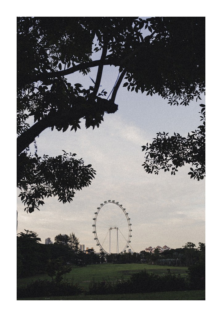 singapore-travel-pictures-135